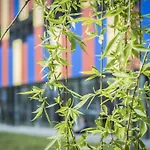 Centre Esplai Ελ Πρατ ντε Λομπρεγκάτ